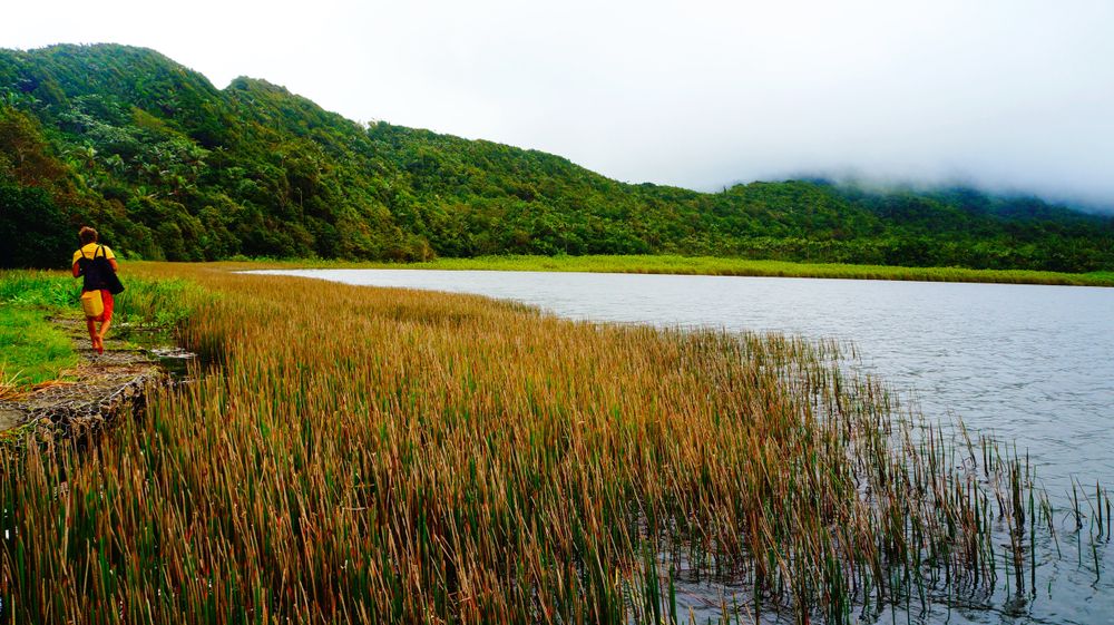 View of Grand Etang National Park