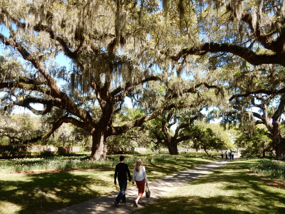 View of Brookgreen Gardens