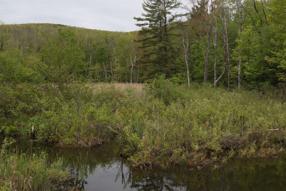 View of Pleasant Valley Wildlife Sanctuary