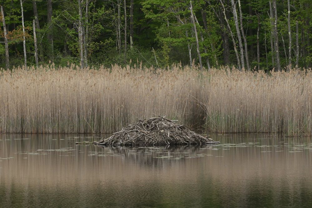 View of Pleasant Valley Wildlife Sanctuary