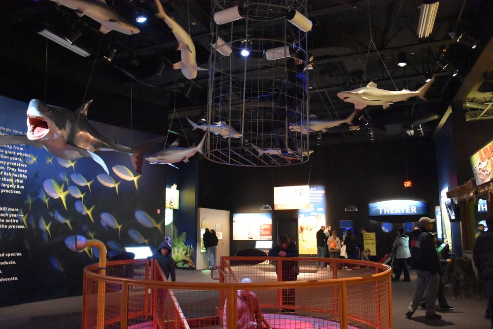 Interior of Mystic Aquarium