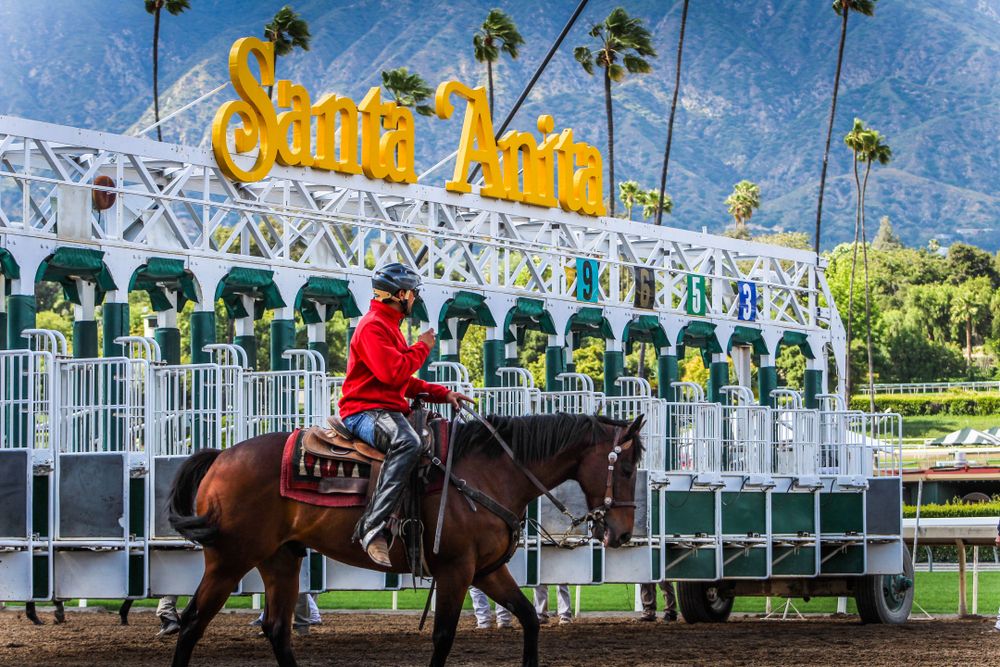 View of Santa Anita Race Park