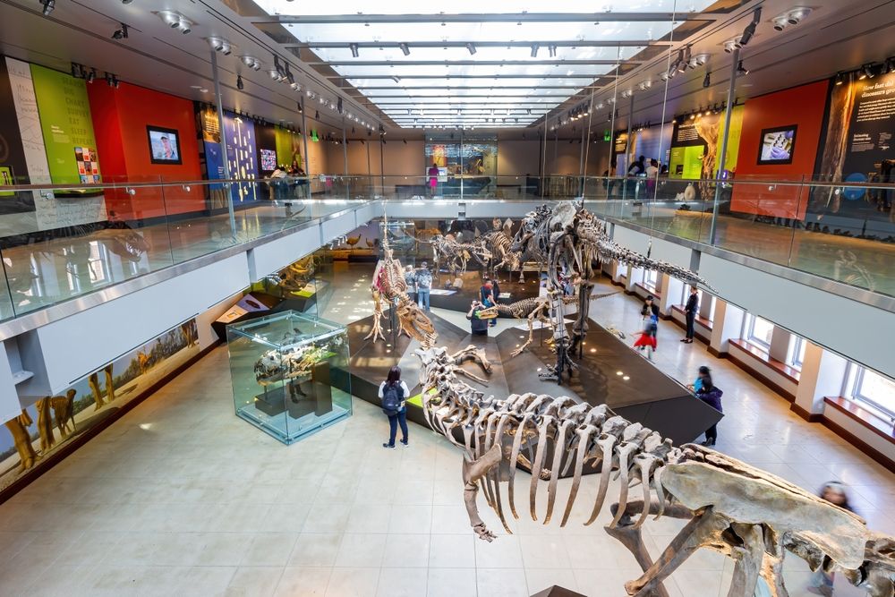 Exterior of the Natural History Museum of Los Angeles County