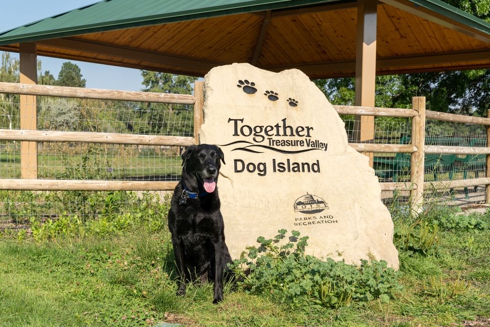 Dog island at Ann Morrison Park
