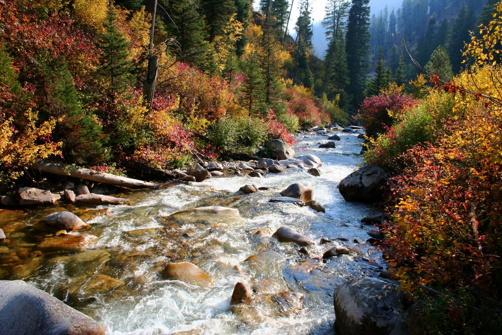 Rapids of Payette River