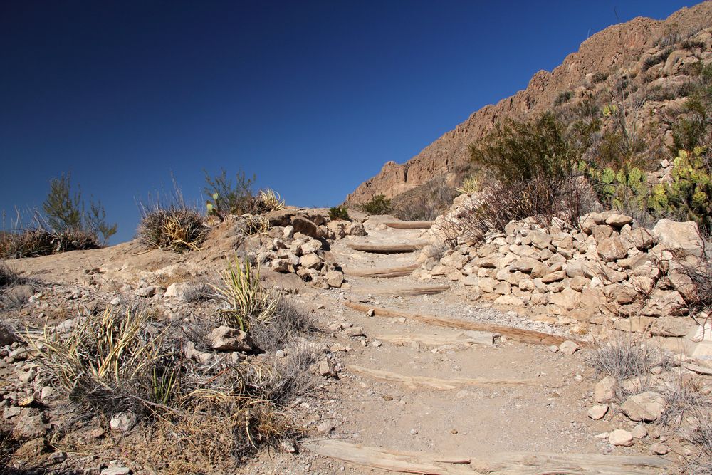 Rocks and cacti along Boquillas Canyon Trail