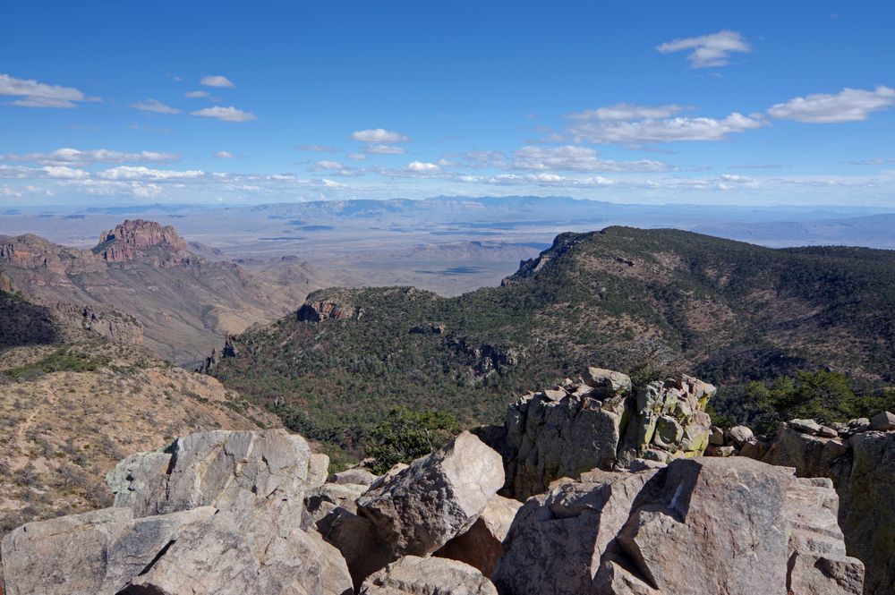 View on Emory Peak Trail
