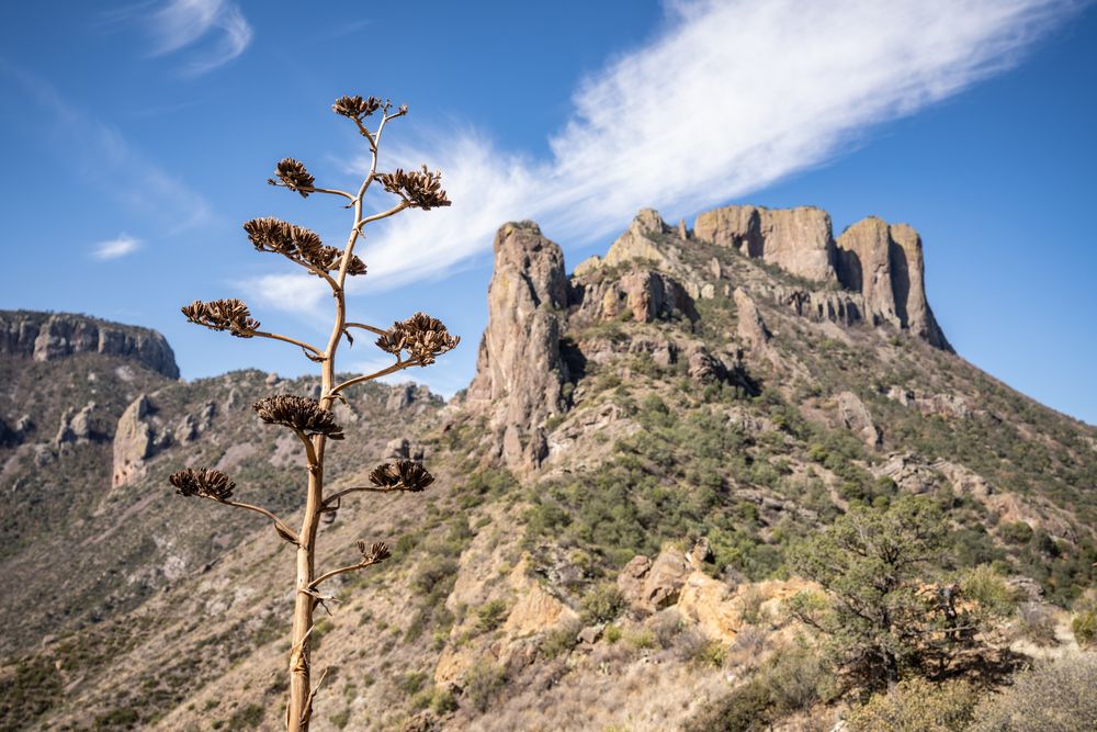 Daytime view of the Lost Mine Trail