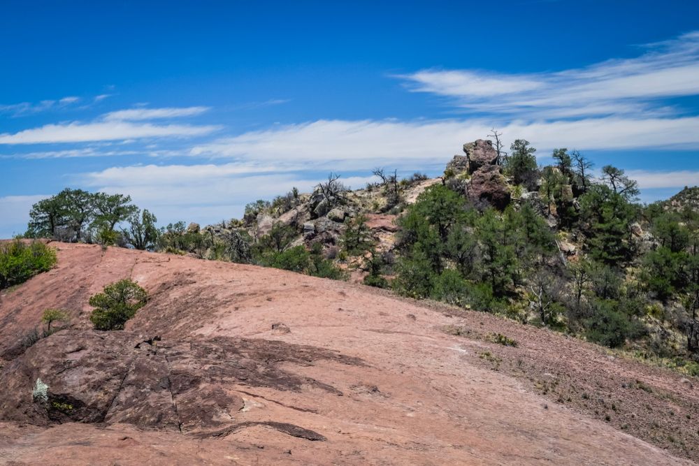 Hiking trail of Lost Mine Trail