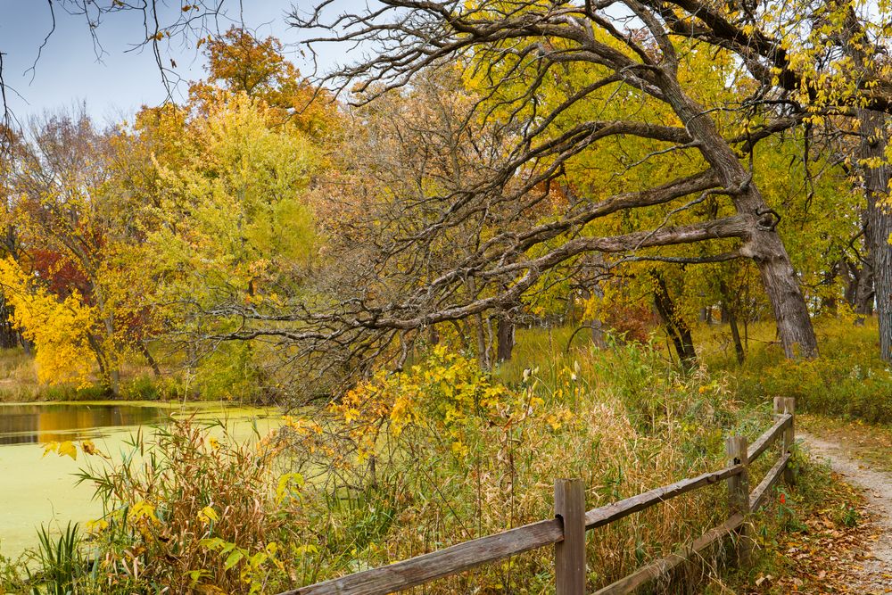 Nature scene at Crabtree Nature Center