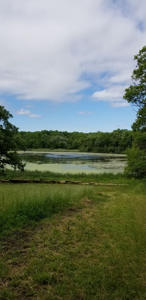 The waters of Deer Grove Forest Preserve