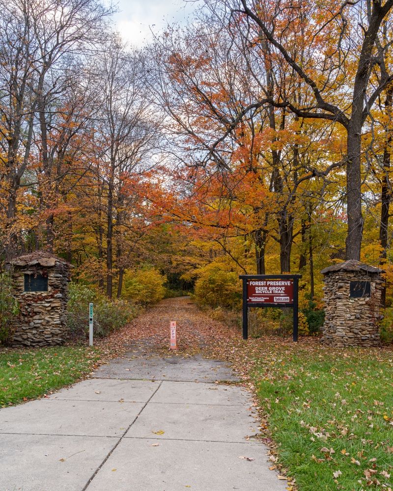 Trail at Deer Grove Forest Preserve