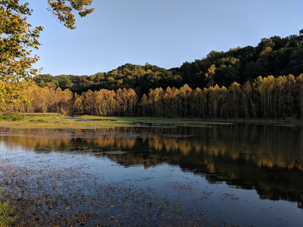 The waters of Griffy Lake