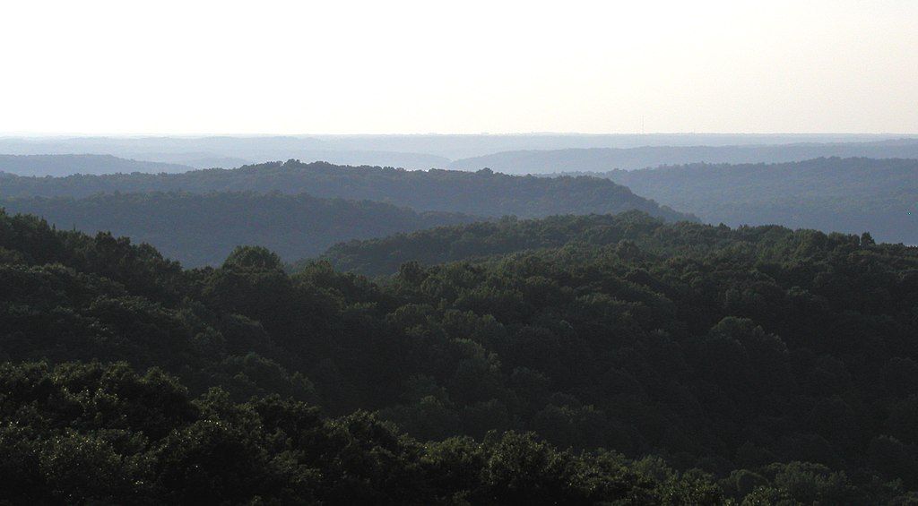 The view from Hoosier National Forest