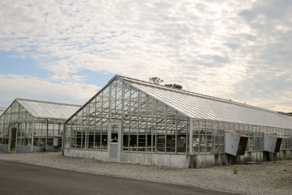 Exterior of a greenhouse at Hahn Horticulture Garden