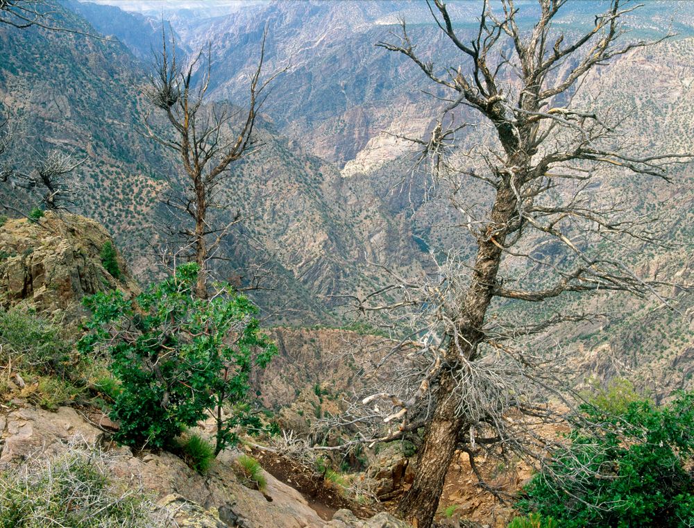 View from the warner point trail