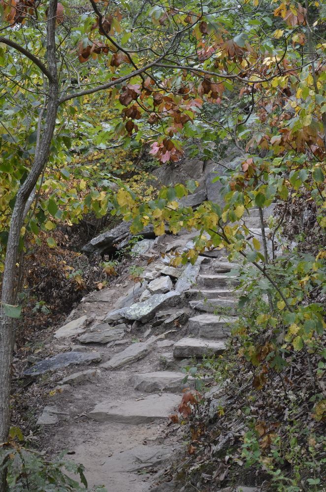Stone steps at Dragon's Tooth