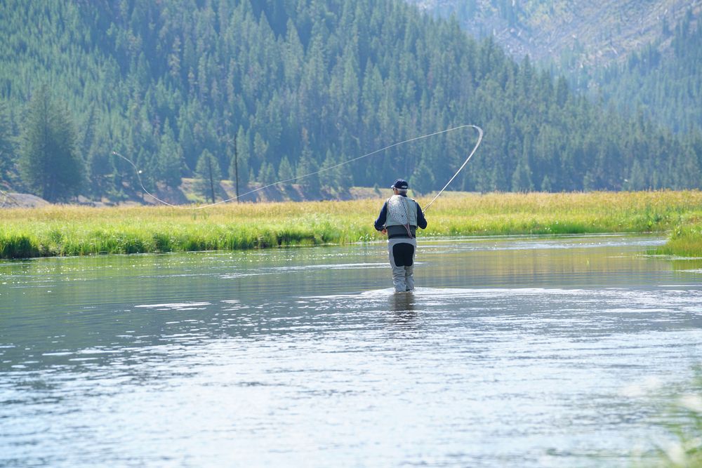Fly fishing at Madison River