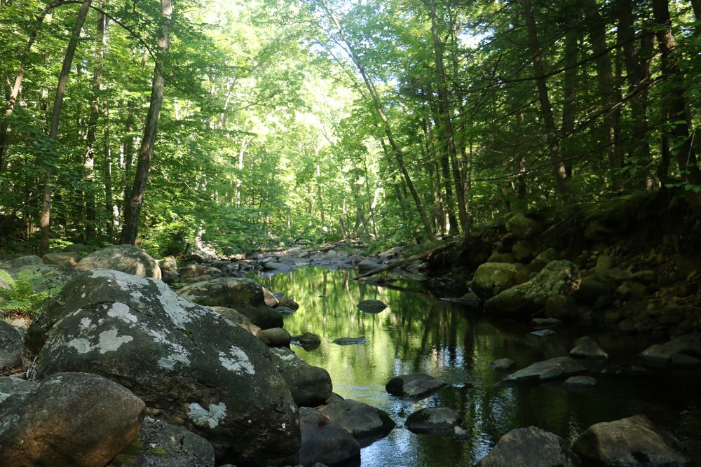 A brook at Harriman State Park