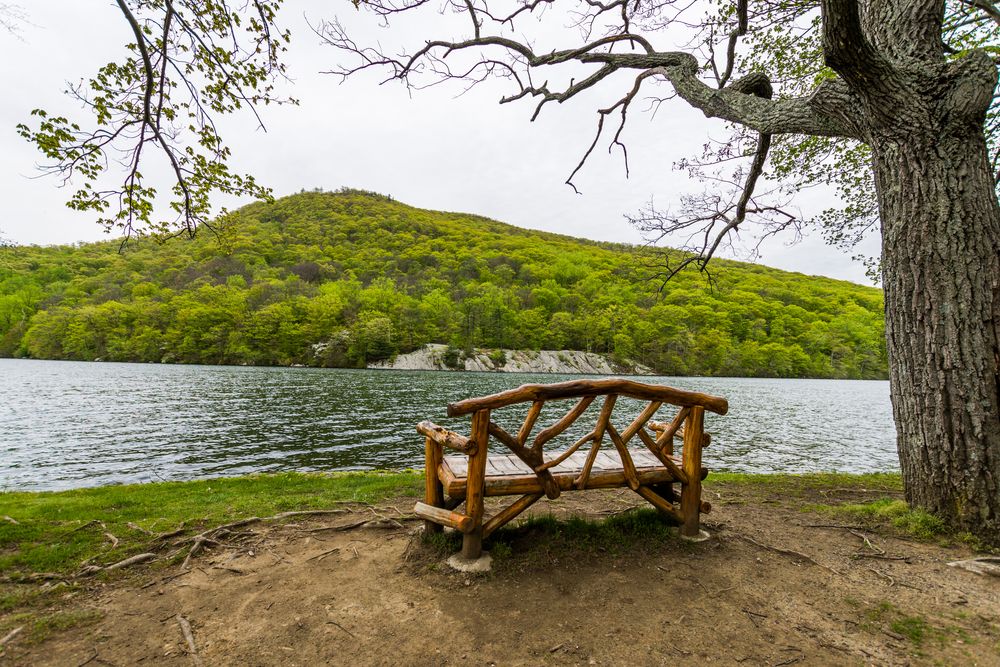 Bench overlooking the waters of Hessian Lake