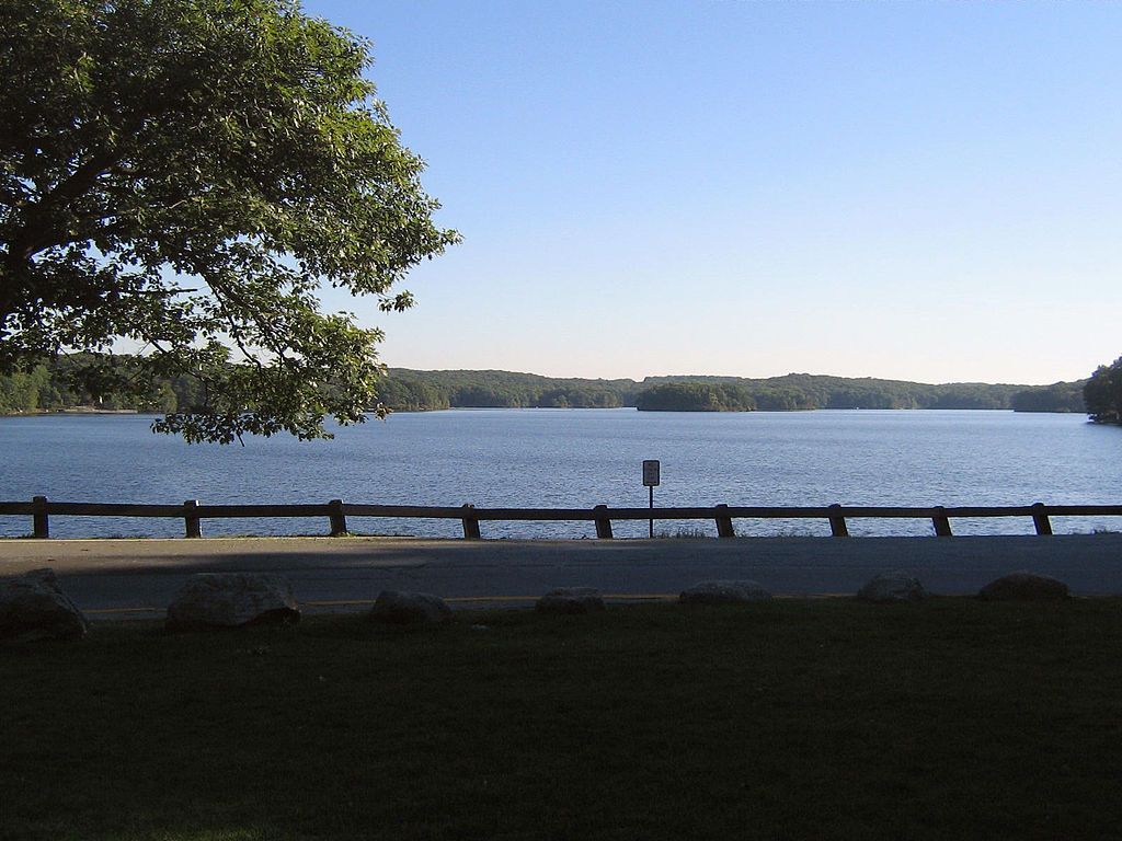 The waters of Lake Tiorati Beach