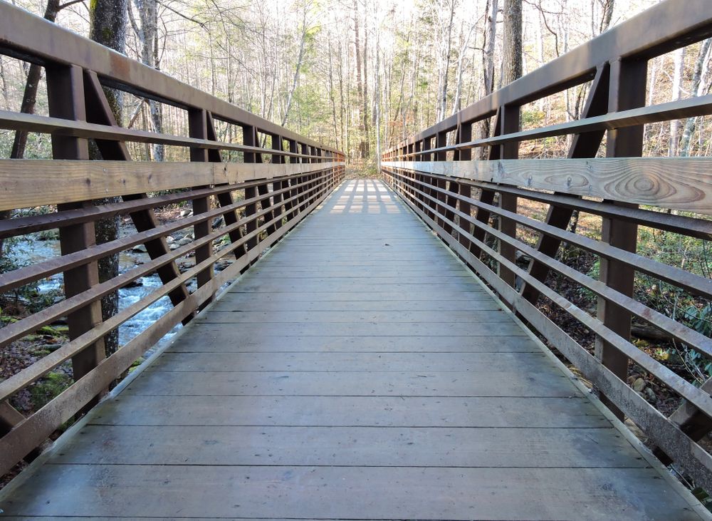 Boardwalk at Catawba Falls Trail