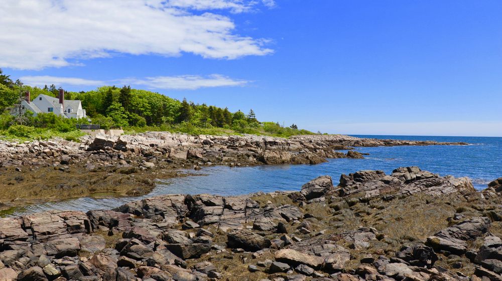 Shoreline view of Timber Point Trail