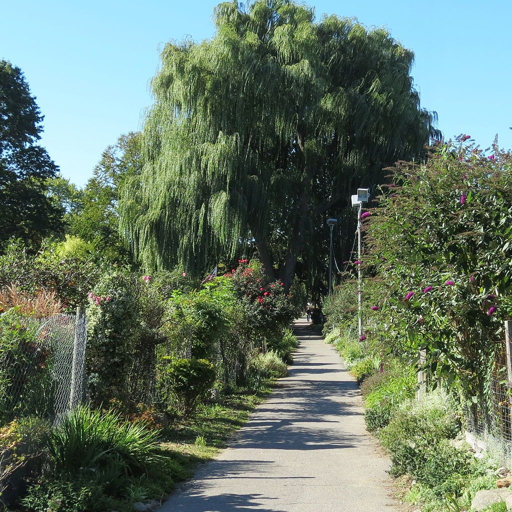 Trail at Emerald Necklace