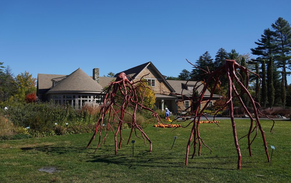 Steel roots installation in front of Coastal Maine Botanical Gardens' visitor center