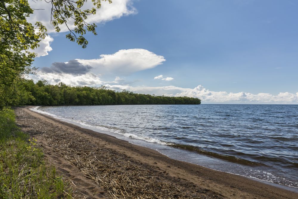 The shore of Mille Lacs Lake