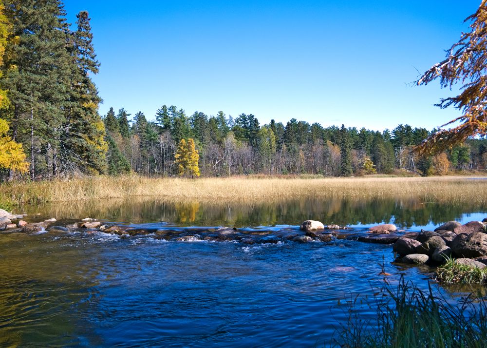 The waters of Mississippi Headwaters State Forest