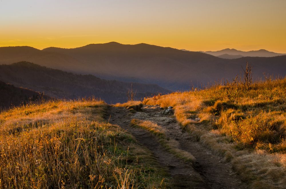 Scenic view from Art Loeb Trail