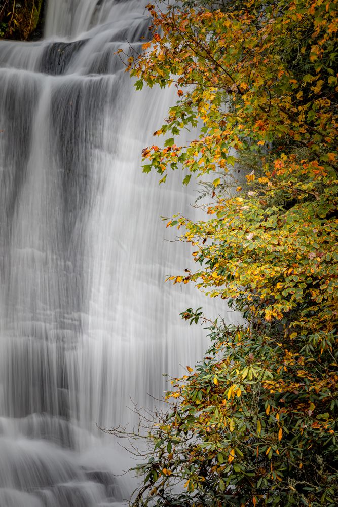 Close view of Connestee Falls