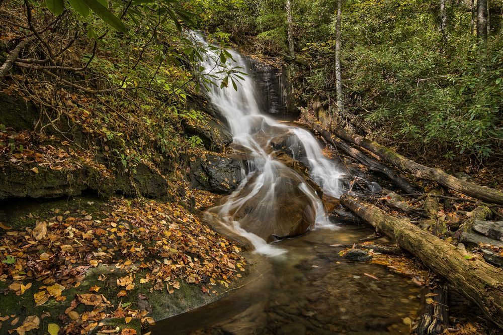 Scenic view of Log Hollow Waterfalls