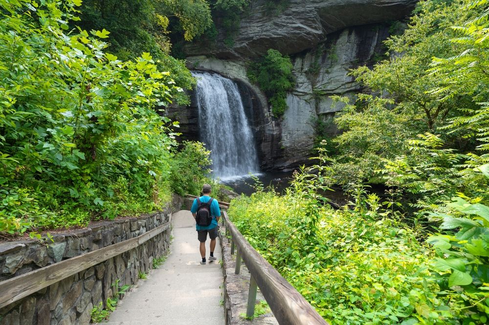 A hiker at Pisgah Natural Forest
