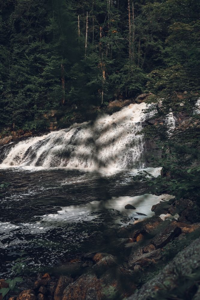 Scenic view of Profile Falls