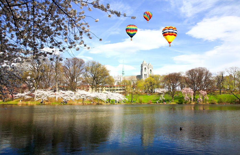 Hot air balloons over Branch Brook Park's water