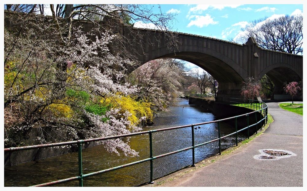 Trail under a bridge at Branch Brook Park