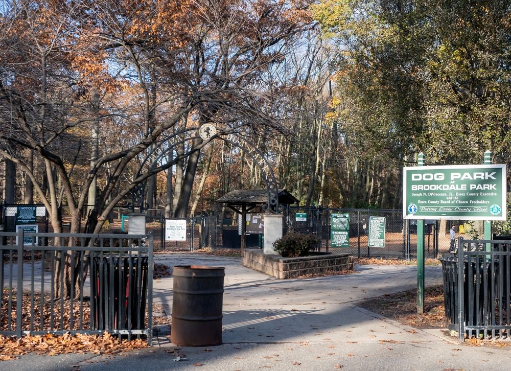 Dog park at Brookdale Park