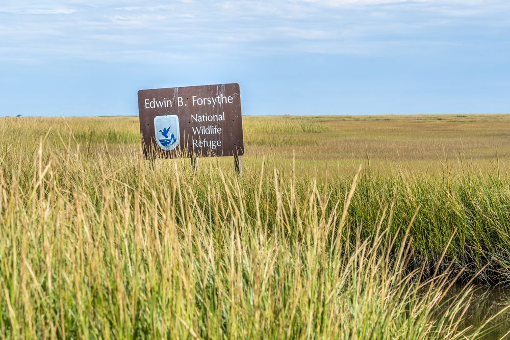 Welcome sign of Edwin B. Forsythe National Wildlife Refuge