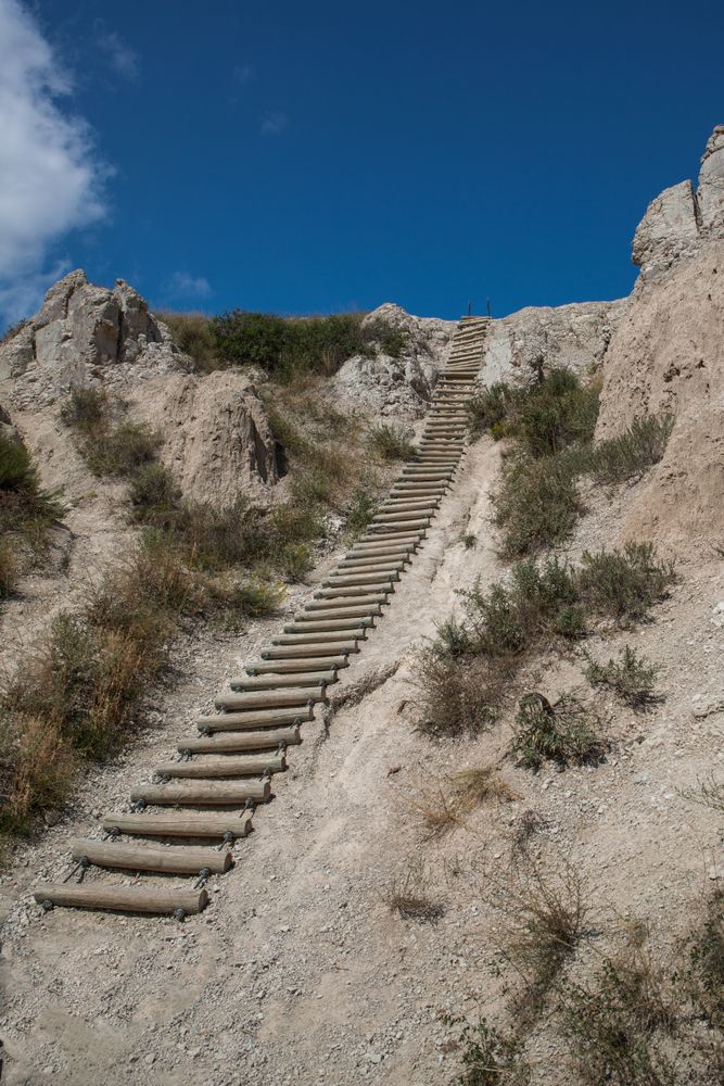 Daytime view of the Log Ladder at the Notch Trail