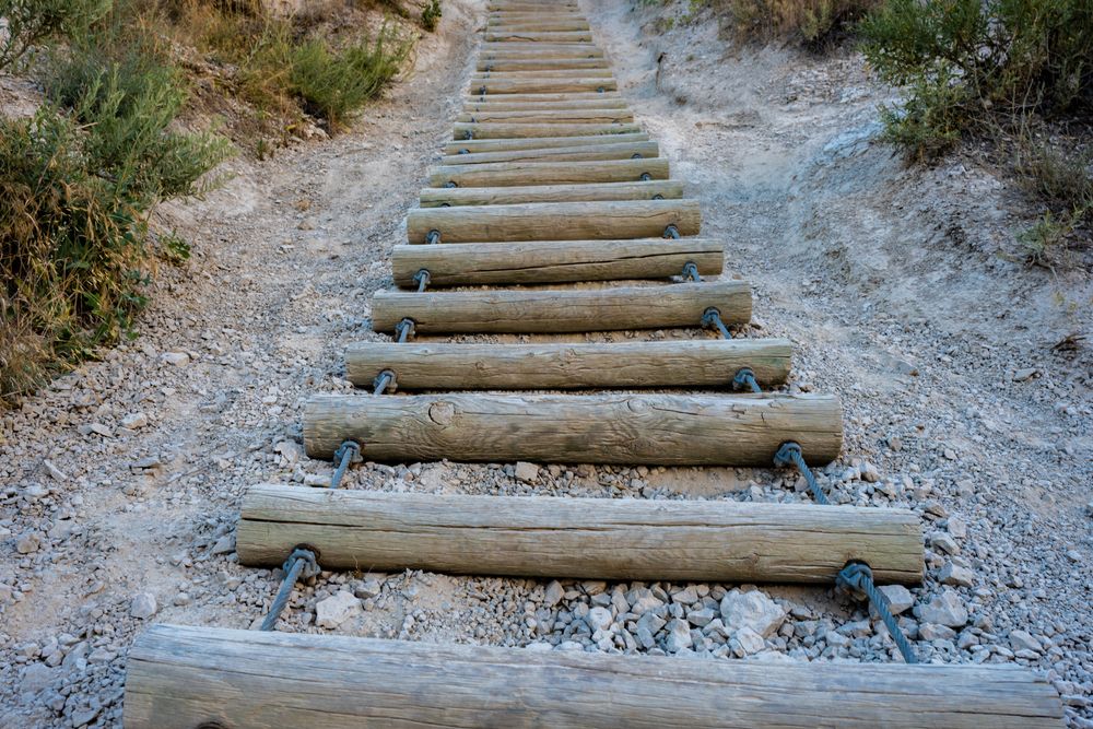 Close view of the Log Ladder at the Notch Trail