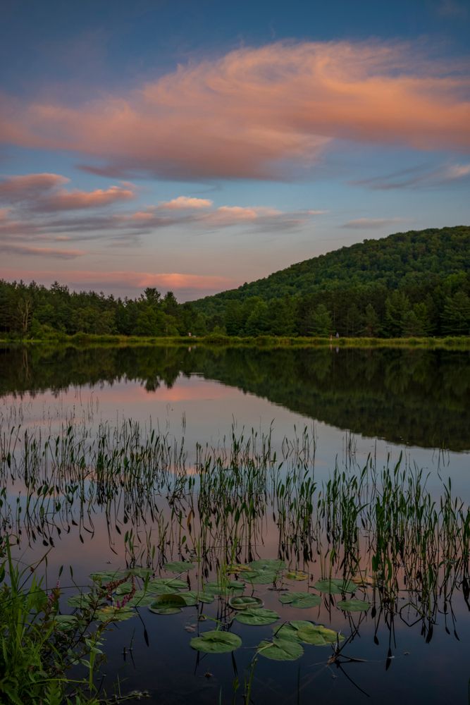 Scenic view of Aqua-Terra Wilderness Area