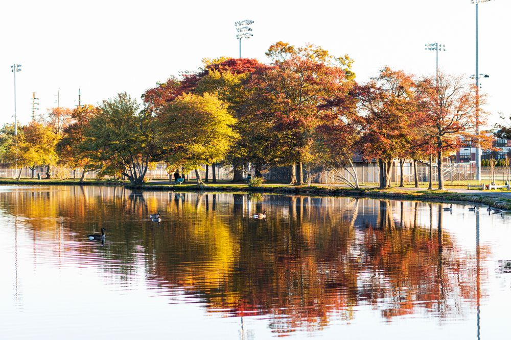 The waters of Argyle Park