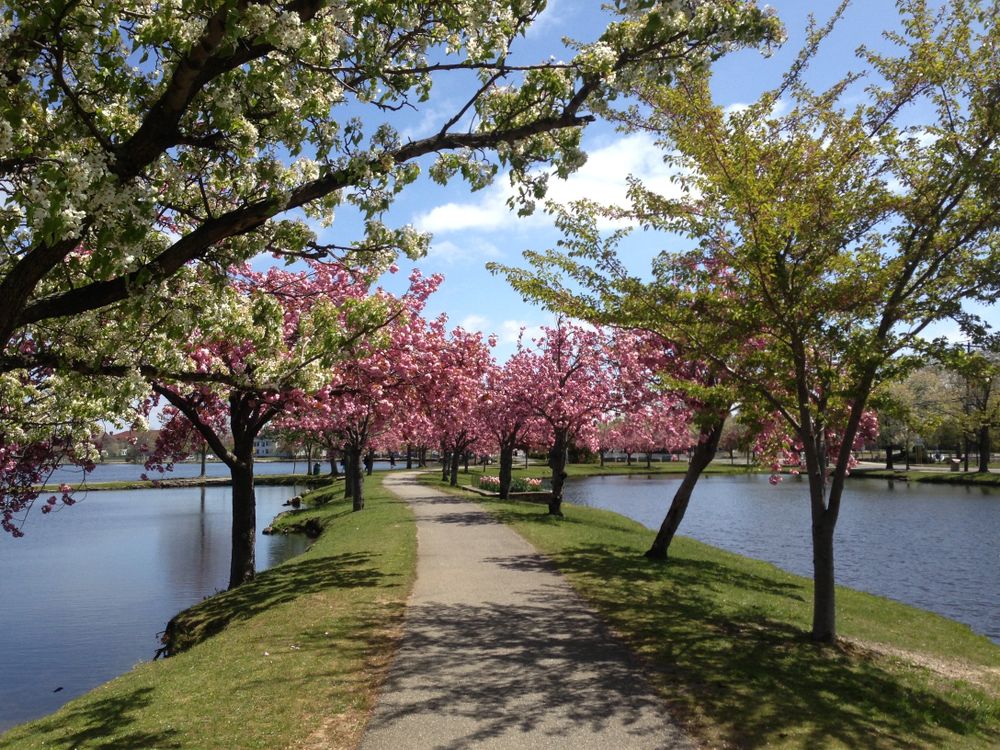 Trail lined with trees at Argyle Park