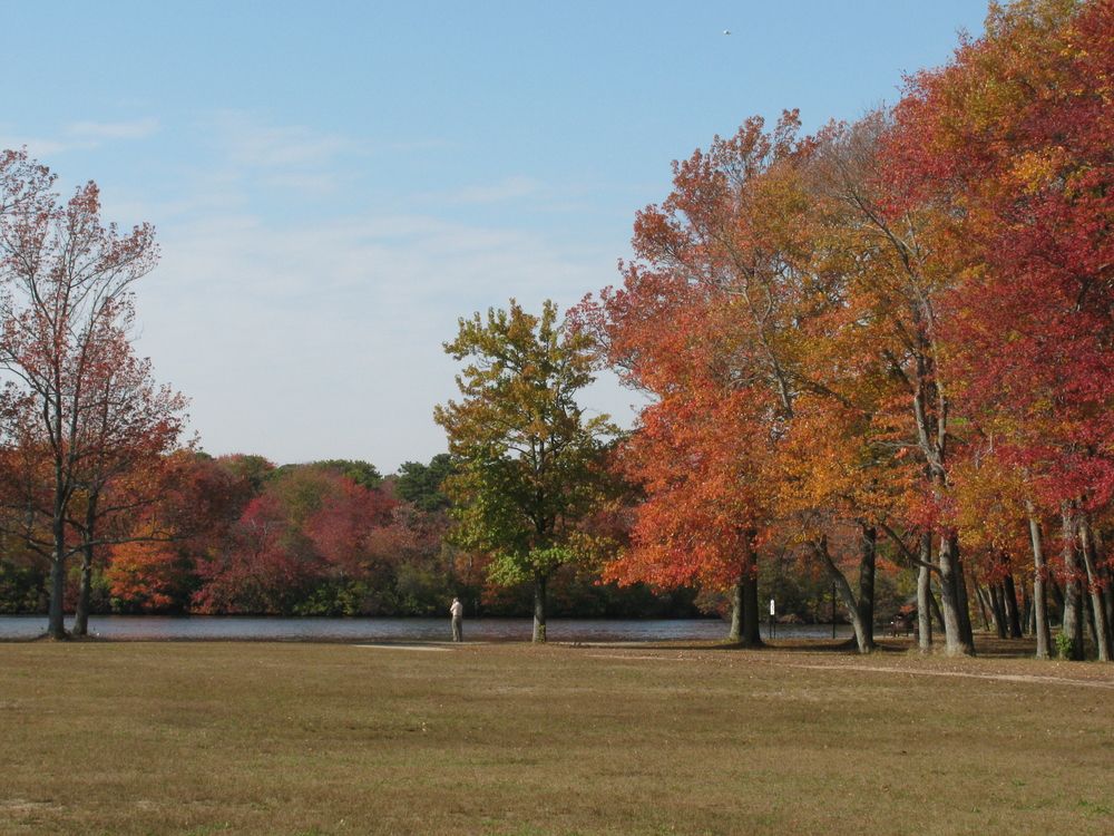 The grounds of Belmont Lake State Park