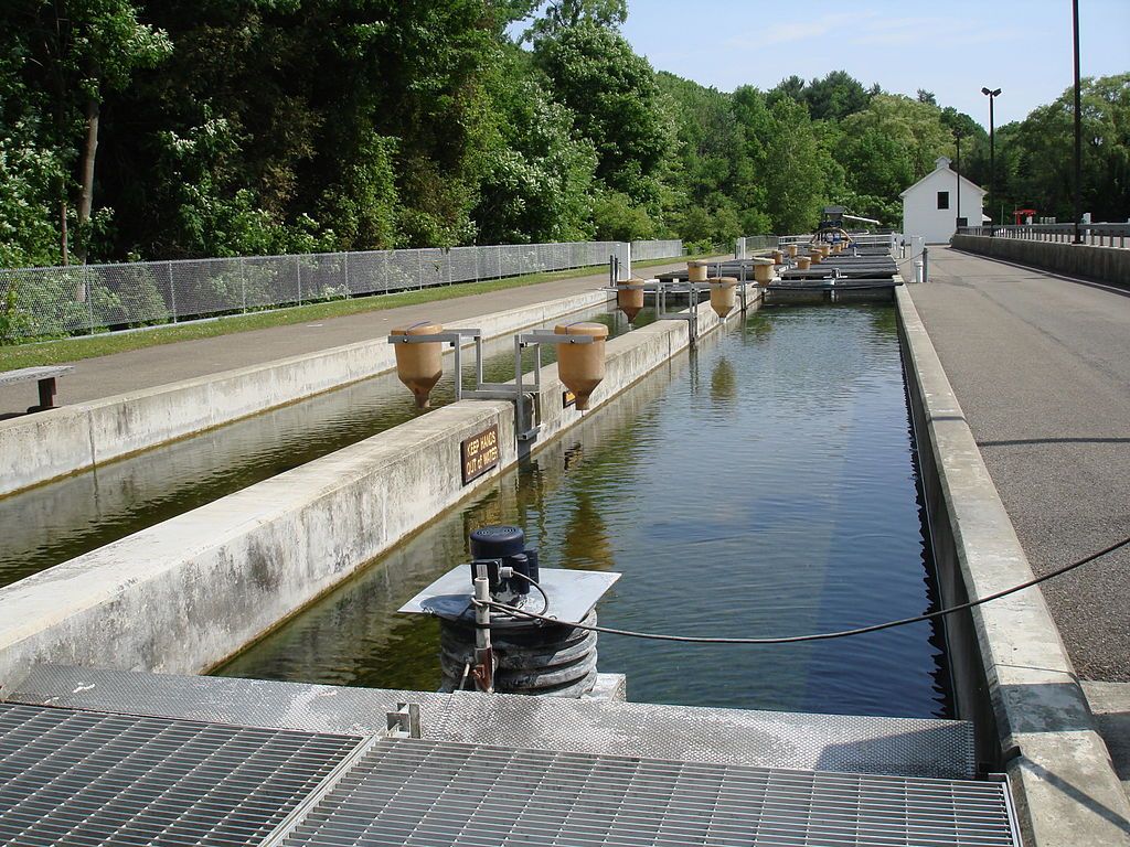 The waters of New York State Fish Hatchery