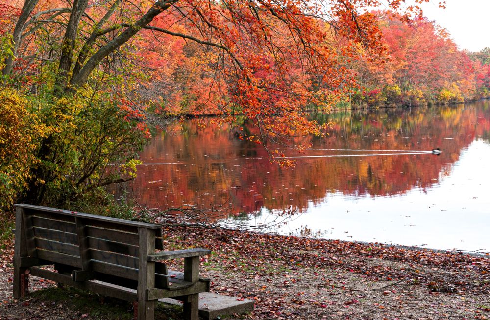 Bench overlooking the waters of Southards Pond