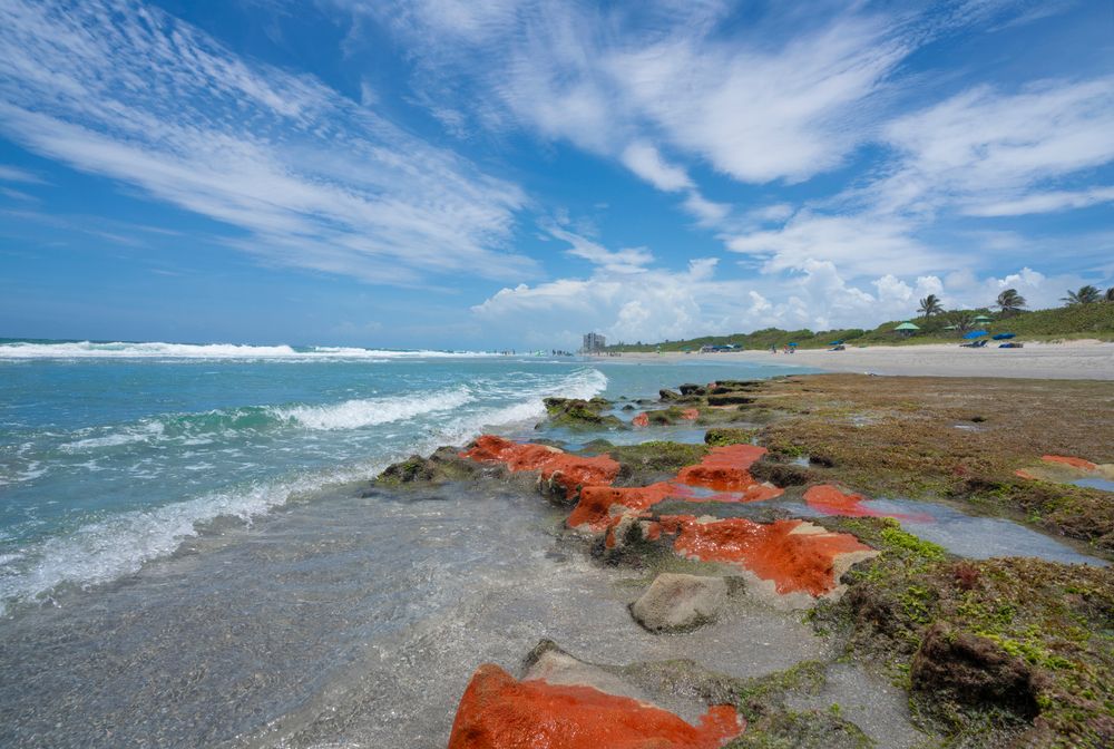 Red rocks on Red Reef Park's shore
