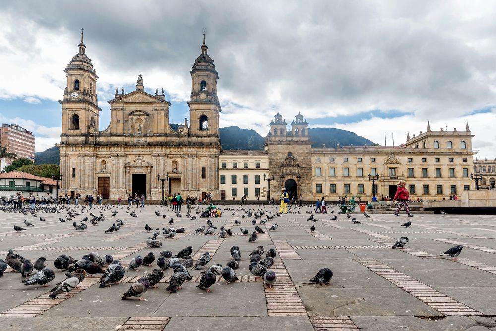 Flock of pigeons at Plaza de Bolívar
